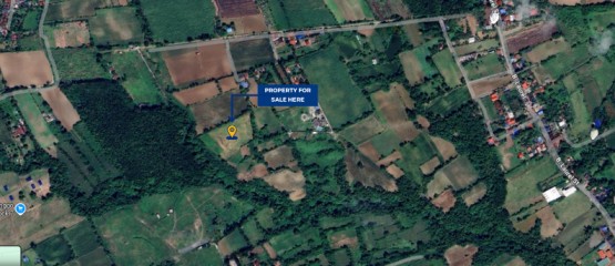 Rawland for sale in Tanauan, Batangas